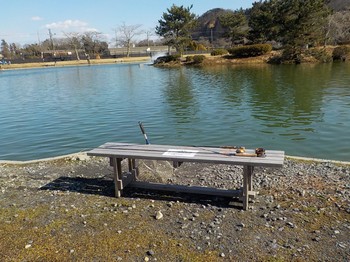 210203秋川湖 (16).JPG