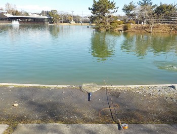 210203秋川湖 (3).JPG