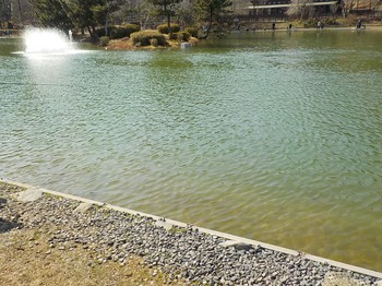 210207秋川湖 (5).JPG