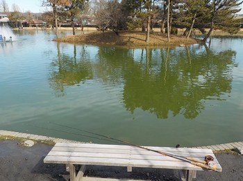 210210秋川湖 (2).JPG