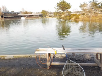 210210秋川湖 (51).JPG