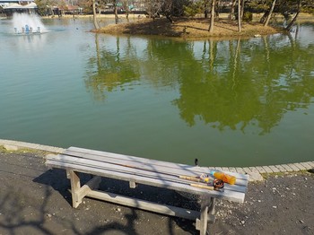 210213秋川湖 (4).JPG