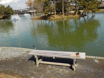 210217秋川湖 (1).JPG