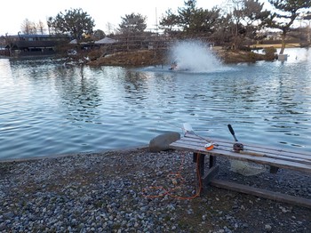210217秋川湖 (31).JPG