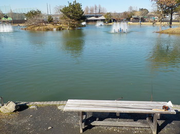 210219秋川湖 (15).JPG