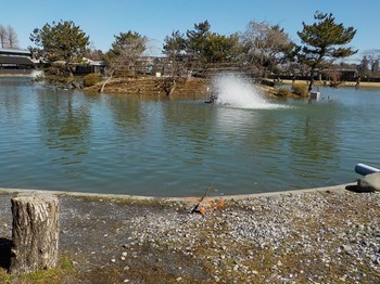 210219秋川湖 (3).JPG