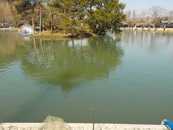 210222秋川湖 (1).JPG