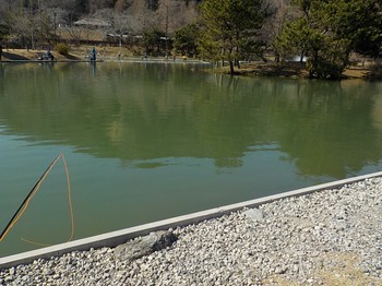 210222秋川湖 (5).JPG