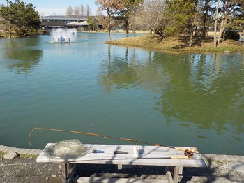 210224秋川湖 (11).JPG