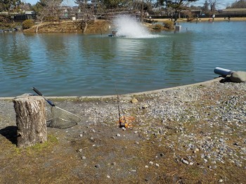 210224秋川湖 (4).JPG