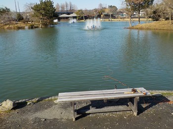 210227秋川湖 (41).JPG