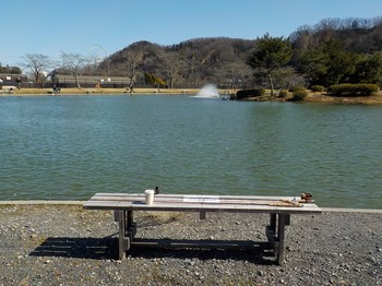 210303秋川湖 (6).JPG