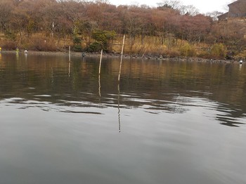 210306芦ノ湖 (23).JPG