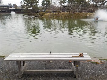 210309秋川湖 (6).JPG