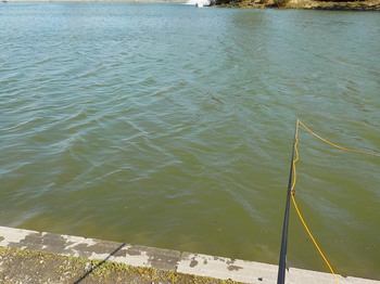 210314秋川湖 (16).JPG
