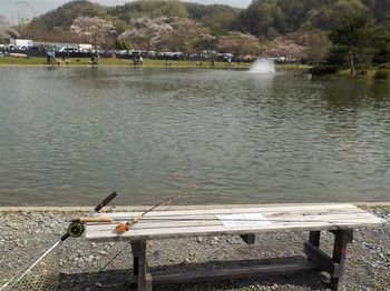 210404秋川湖 (13).JPG