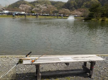 210404秋川湖 (13).JPG