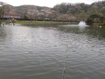 210404秋川湖 (59).JPG