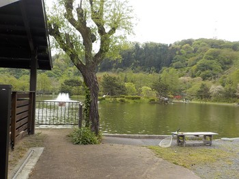 210416秋川湖 (3).JPG