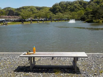 210418秋川湖 (3).JPG