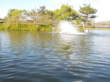 210418秋川湖 (41).JPG
