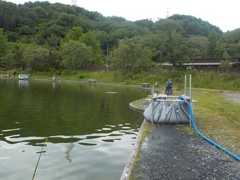 210517秋川湖ボランティア (5).JPG
