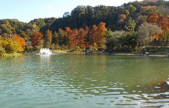211105秋川湖 (9).JPG