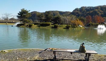 211115秋川湖 (1).JPG