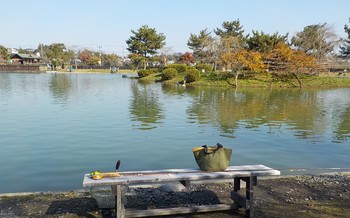 211117秋川湖 (3).JPG