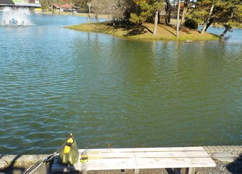 211124秋川湖 (2).JPG