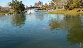 211124秋川湖 (27).JPG