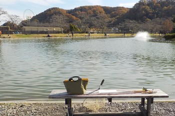 211129秋川湖 (1).JPG
