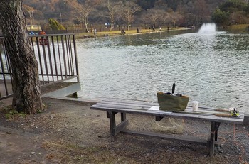211129秋川湖 (33).JPG