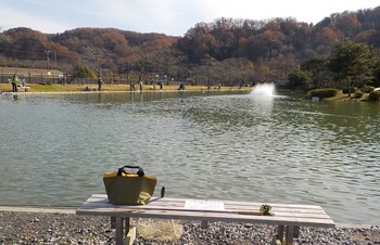 211210秋川湖 (1).JPG