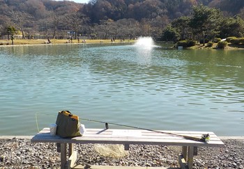 211215秋川湖 (1).JPG