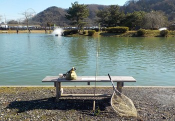 211219秋川湖 (2).JPG