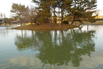 211222秋川湖 (47).JPG