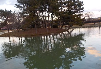 211225秋川湖 (45).JPG