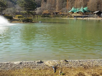 211229秋川湖 (5).JPG