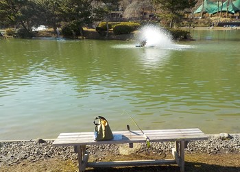 211229秋川湖 (8).JPG
