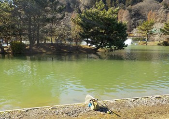 211230秋川湖 (1).JPG
