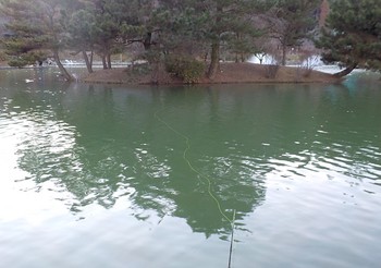220105秋川湖 (34).JPG