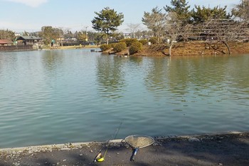 220117秋川湖 (2).JPG