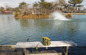 220117秋川湖 (7).JPG