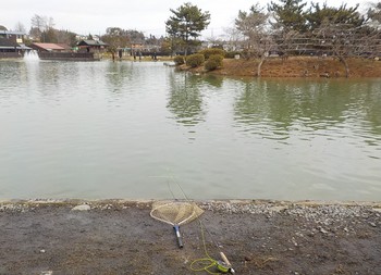 220123秋川湖 (1).JPG