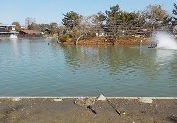 220128秋川湖 (1).JPG