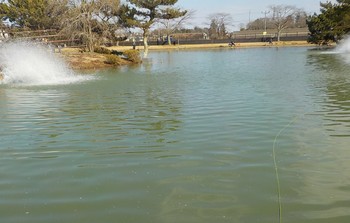 220128秋川湖 (15).JPG