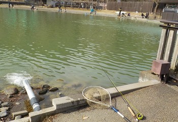 220212秋川湖 (2).JPG