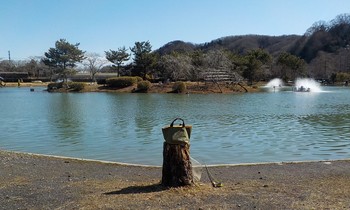 220221秋川湖 (1).JPG