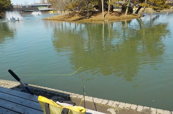 220223秋川湖 (5).JPG
